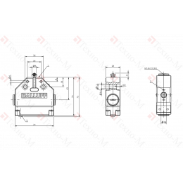 Одиночный выключатель Balluff BNS 813-FL-60-186-FC